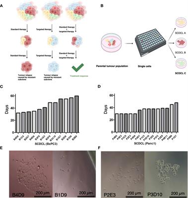 Molecular profiling and specific targeting of gemcitabine-resistant subclones in heterogeneous pancreatic cancer cell populations